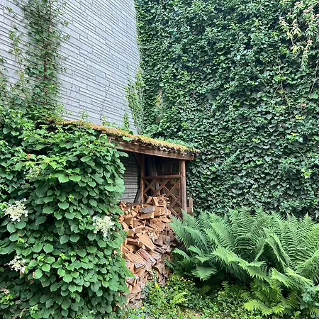 Kleine Olefant Im Historischen Ortskern Von Schleiden-olef Сasa de vacaciones *