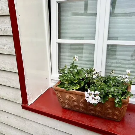 Kleine Olefant Im Historischen Ortskern Von Schleiden-olef 펜션 슈라이덴