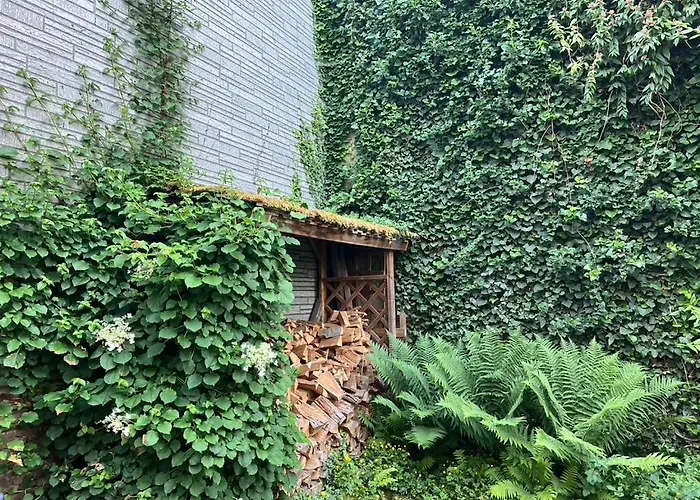 Kleine Olefant Im Historischen Ortskern Von Schleiden-olef Casa vacanze *